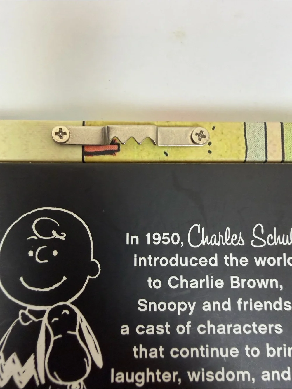 Hallmark Peanuts Comic Strip Multicolor Picture Frame with Red Inner Trim